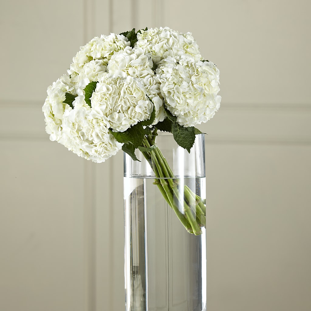 For the Reception